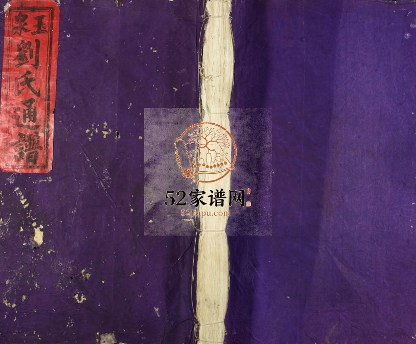 1925年十三修玉玉泉刘氏通谱 江西泰和 万安 兴国 吉水刘姓电子版族谱下载