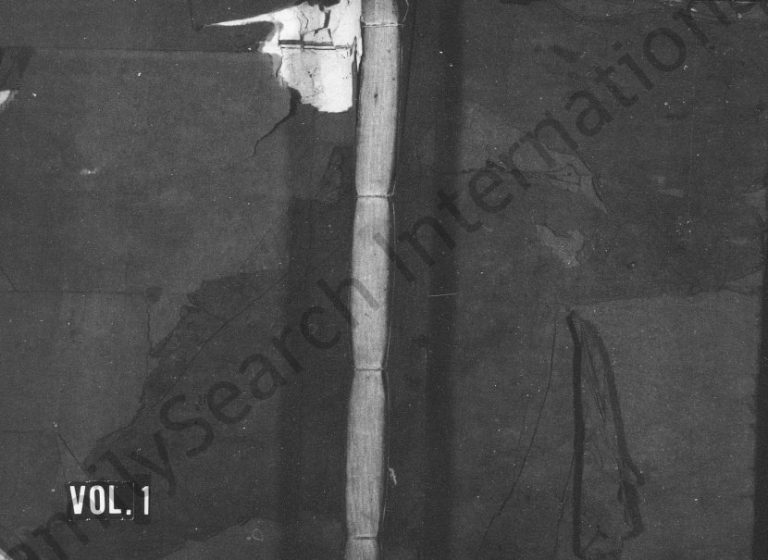 1894年万载龙氏族谱[不分卷]江西龙姓电子版家谱下载