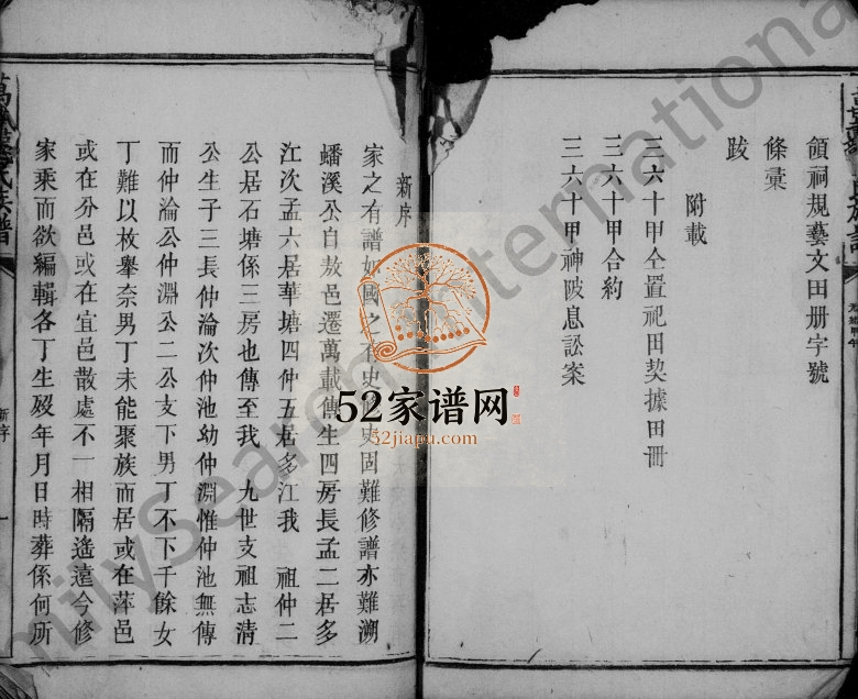 1894年万载龙氏族谱[不分卷]江西龙姓电子版家谱下载