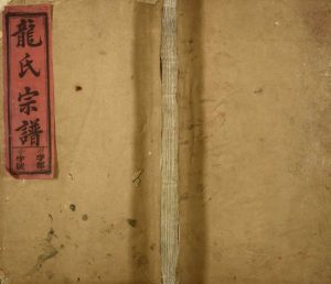 1929年龙氏宗谱[卷数不详]江西宜春 永新龙姓电子版族谱下载
