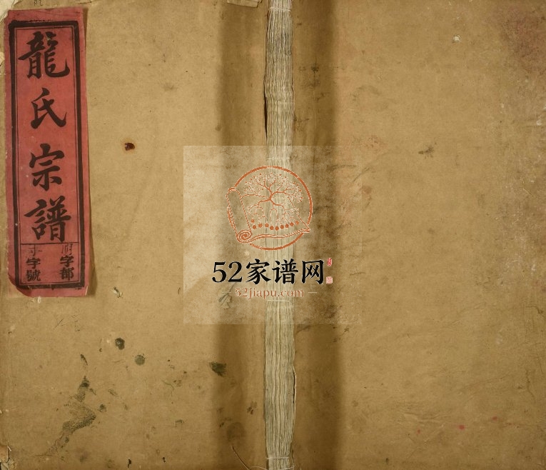 1929年龙氏宗谱[卷数不详]江西宜春 永新龙姓电子版族谱下载