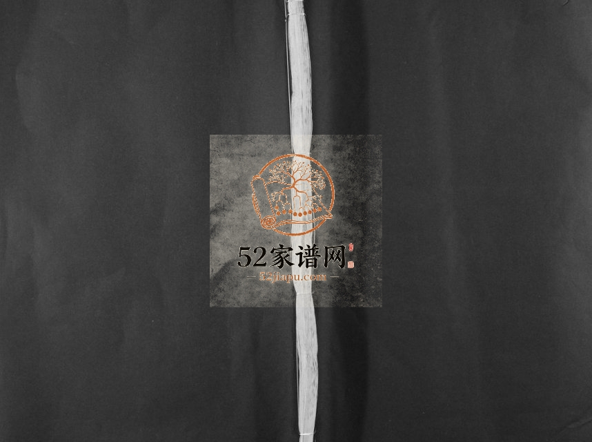 1911年宁都麻田卢氏民籍十一修族谱[不分卷]江西卢姓电子版家谱下载
