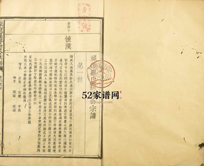1908年五修禄源罗耕云公族谱 江西南丰罗姓电子版家谱下载