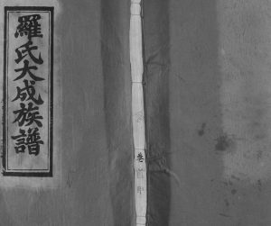 1991年罗氏大成族谱[8卷首1卷]江西丰城忠孝堂罗姓电子版家谱下载