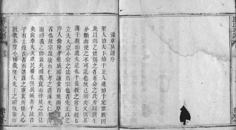 1798年罗氏宗谱[残卷]江西南昌豫章堂罗姓电子版族谱下载