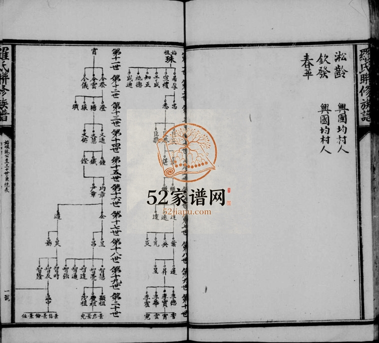 1917年罗氏联修族谱 江西兴国 宁都 赣县 于都罗姓电子版家谱下载