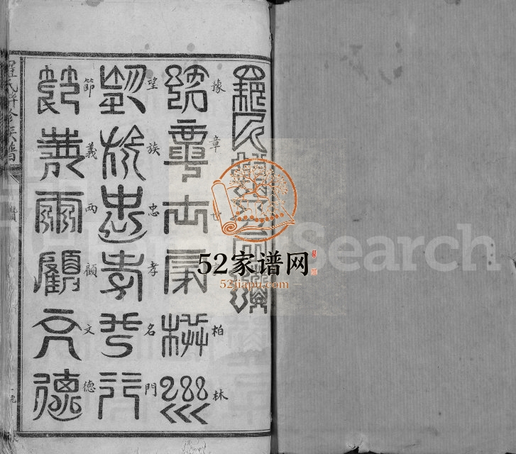1949年罗氏联修族谱[不分卷]江西兴国 宁都罗姓电子版家谱下载