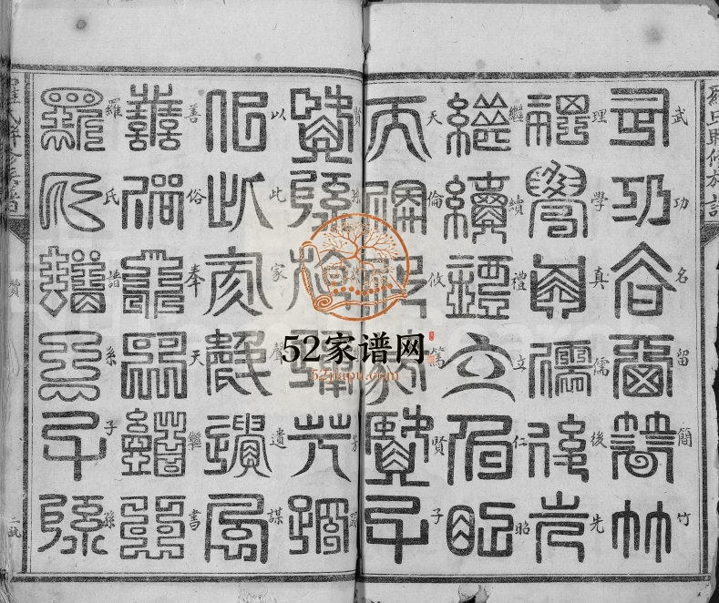 1949年罗氏联修族谱[不分卷]江西兴国 宁都罗姓电子版家谱下载