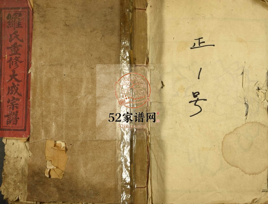 1917年罗氏重修大成谱[不分卷]江西宁都 丰城罗姓电子版族谱下载