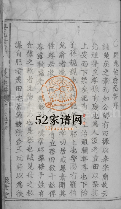 1838年兴邑谢溪罗氏重修族谱[不分卷]江西兴国 于都豫章堂罗姓电子版家谱下载