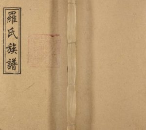 1946年袁州罗宗庆祠五修族谱 袁州罗氏五修族谱 江西宁都豫章堂罗姓电子版家谱下载