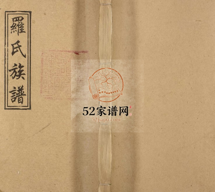 1946年袁州罗宗庆祠五修族谱 袁州罗氏五修族谱 江西宁都豫章堂罗姓电子版家谱下载