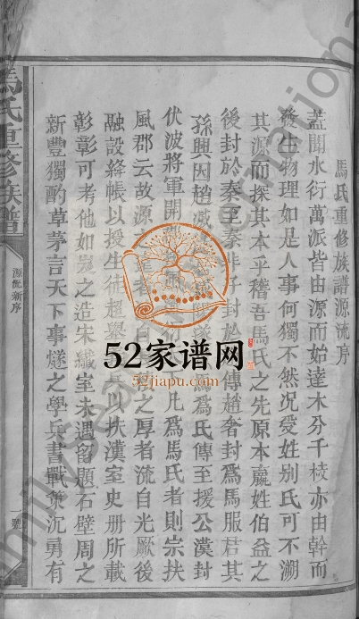 1920年马氏重修族谱[不分卷]江西兴国 赣县马姓电子版家谱下载