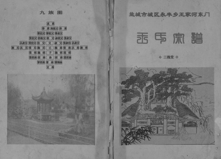 2000年盐城市城区永丰乡王家河东门王氏宗谱[不分卷]江苏三槐堂王姓电子版族谱下载
