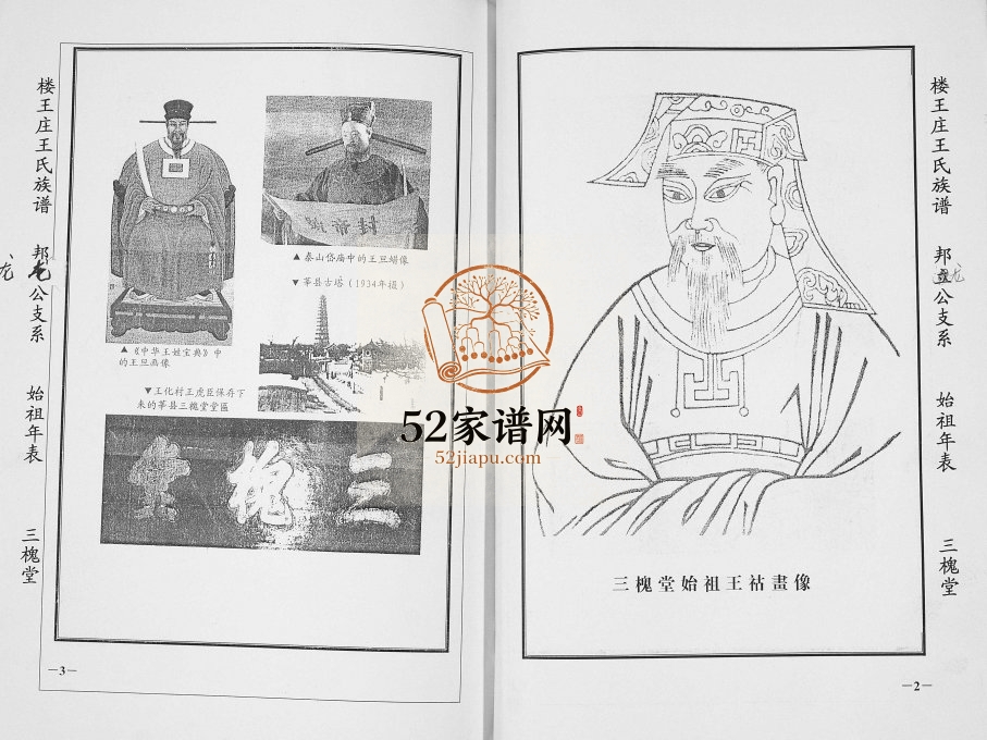 2014年楼王庄王氏族谱[不分卷]江苏盐城三槐堂王姓电子版家谱下载