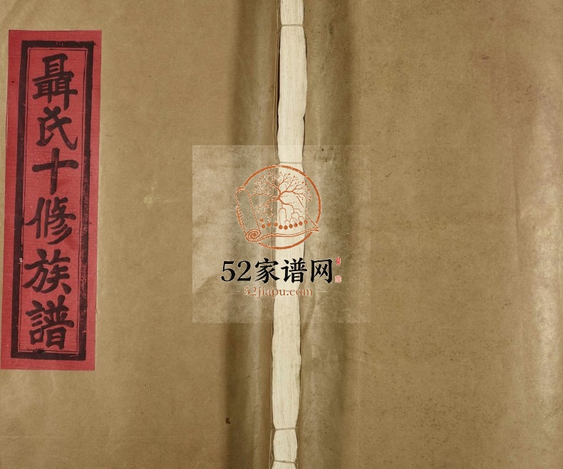 1991年丰城聂氏十修族谱[25册]江西三礼堂聂姓电子版家谱下载