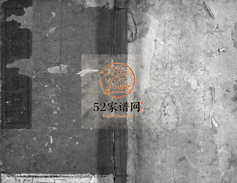 1910年重修桃源潘氏家谱[14卷]福建永春 建阳 江西广信得心堂潘姓电子版族谱下载