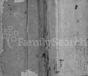 2000年石浒头彭氏重修草谱[残卷]江西吉安永思堂彭姓电子版族谱下载