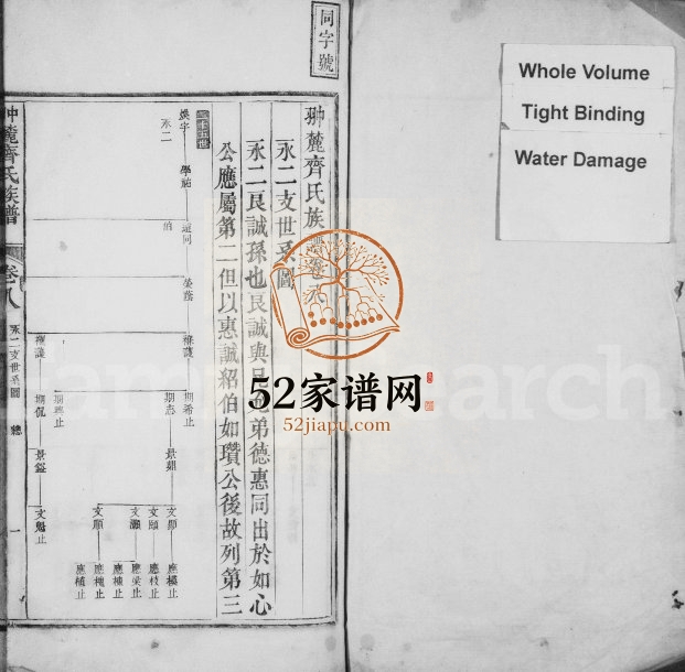翀麓齐氏族谱[卷数不详]江西齐姓电子版家谱下载