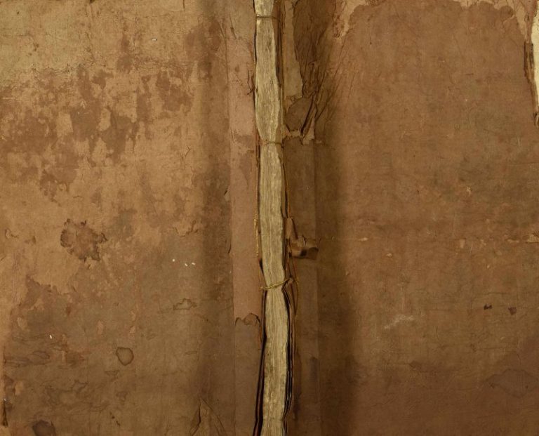 1829年修瑞邑跃鲤湖阙氏族谱 江西瑞金阙姓电子版家谱下载