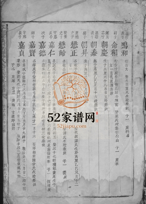 1807年宁都灵溪河南郡邱氏大宗祠六修族谱[不分卷]江西邱赞堂邱姓电子版家谱下载