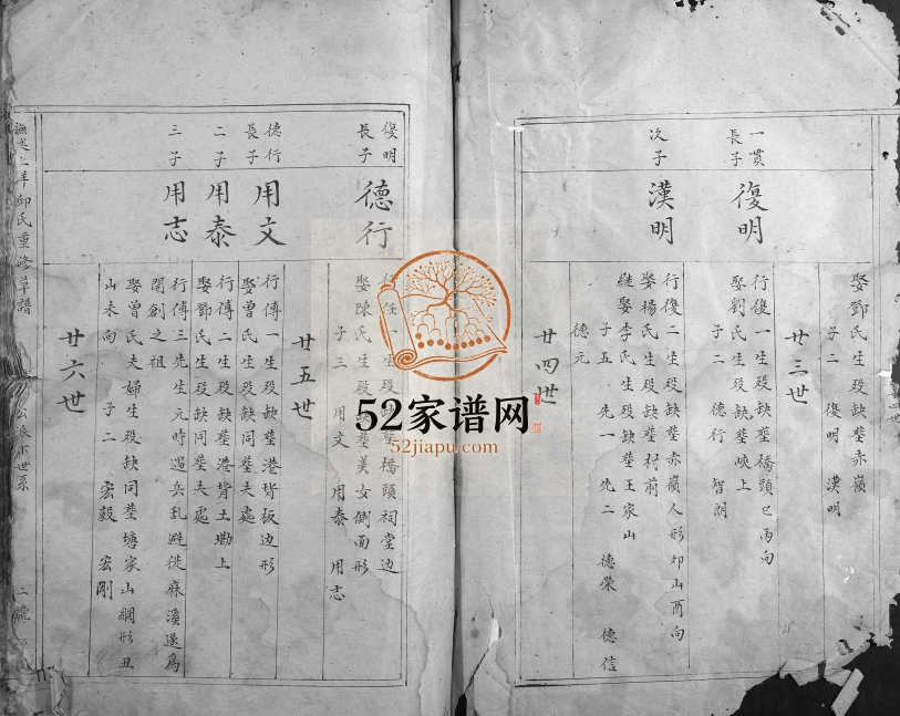 1904年抚乐上洋邱氏重修草谱 江西吉安邱姓电子版族谱下载