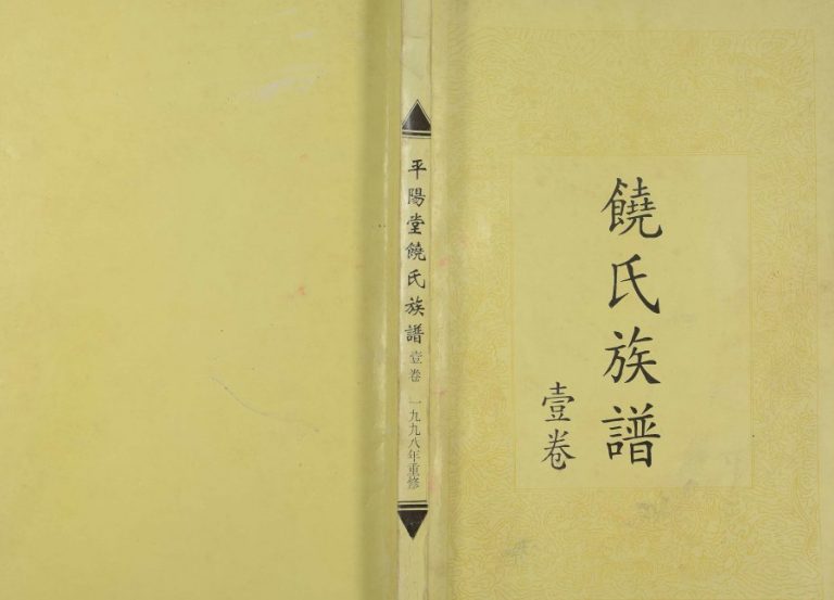 1998年重修饶氏族谱[8卷补遗1卷]广东 江西 湖南平阳堂饶姓电子版家谱下载