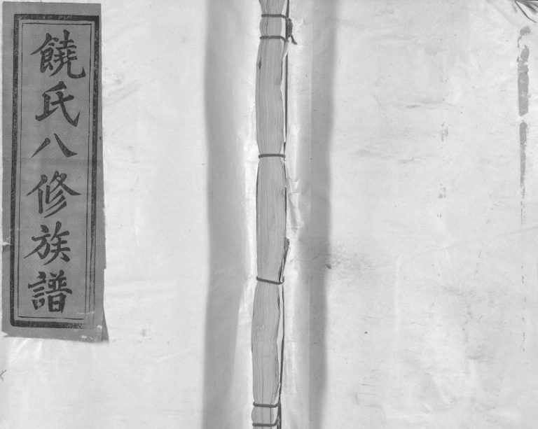 1994年八修坳背源饶氏族谱[6卷]江西广昌饶姓电子版家谱下载