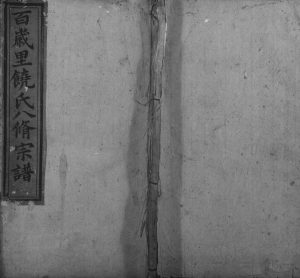1886年新城饶氏八修宗谱[15卷首1卷]江西大庾饶姓电子版族谱下载