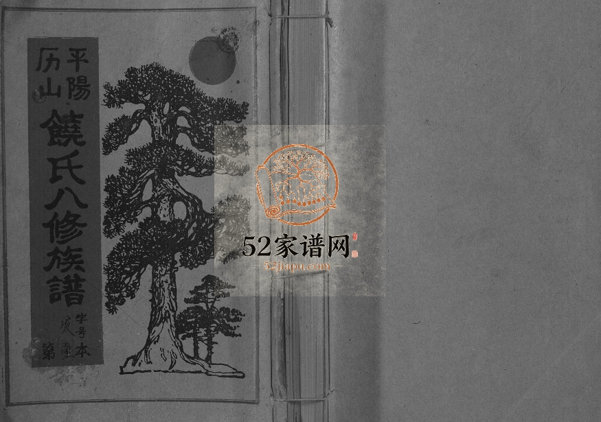 1995年历山饶氏八修族谱[不分卷]江西宁都饶姓电子版家谱下载