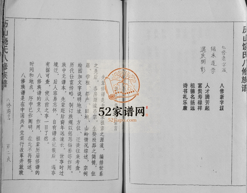 1995年历山饶氏八修族谱[不分卷]江西宁都饶姓电子版家谱下载