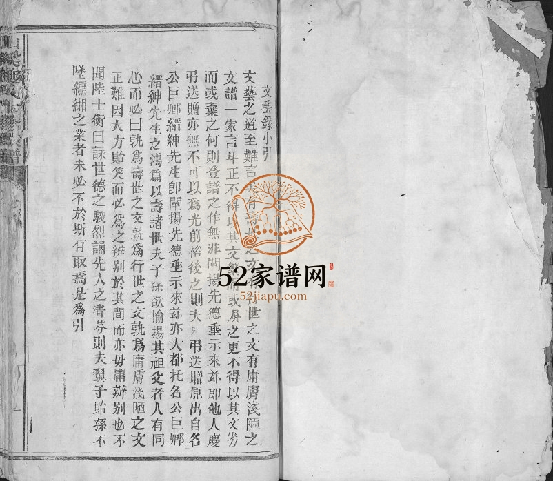 1909年山溪施氏十修族谱 江西吉水施姓电子版家谱下载
