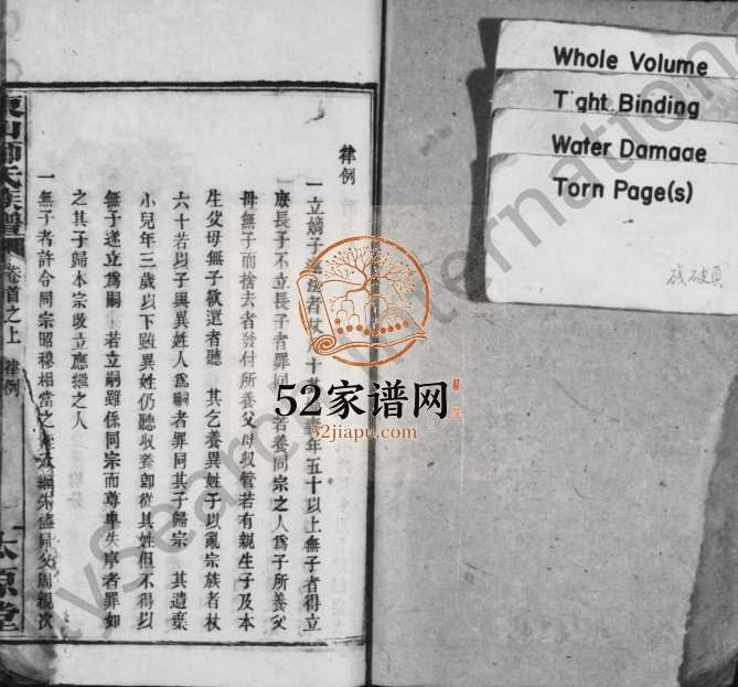 1887年续修东山师氏族谱[残卷]江西太原堂师姓电子版家谱下载