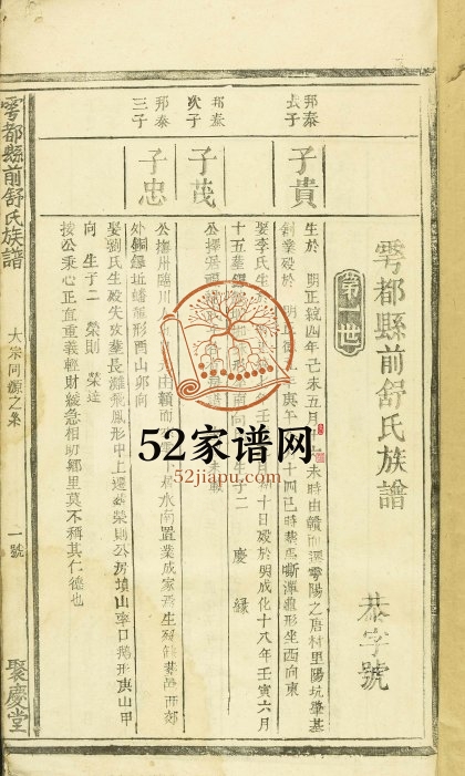 1869年修雩都县前舒氏族谱[不分卷]江西于都聚庆堂舒姓电子版家谱下载