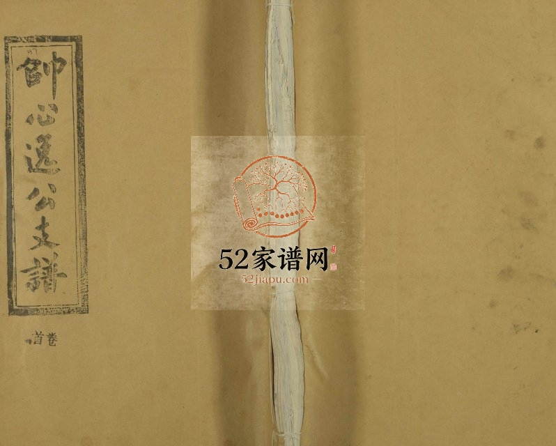1996年五修帅心逸公支谱[12卷及卷首]江西修水观聚堂电子版族谱下载