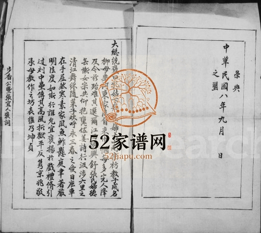 1919年修舒氏家谱[残存1卷]江西及上饶舒姓电子版族谱下载