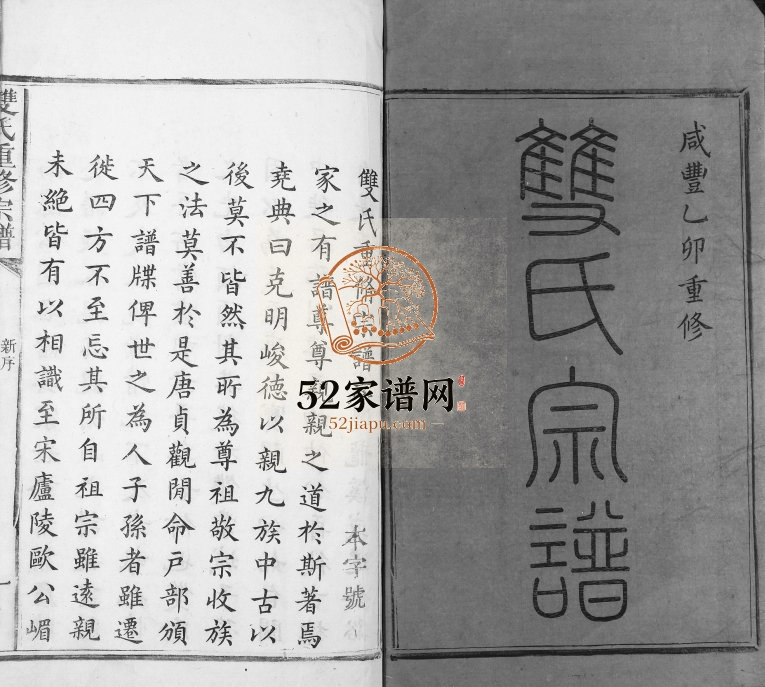 1855年双氏重修族谱[不分卷]江西临川双姓电子版家谱下载