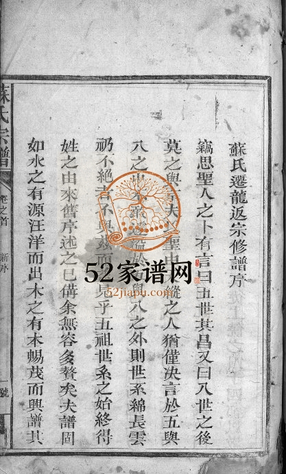 1904年修苏氏宗谱[残卷]江西广信 铅山苏姓电子版族谱下载