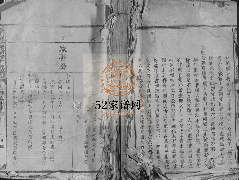 城南富春孙氏伯房十二修族谱 江西宁都孙姓电子版家谱下载