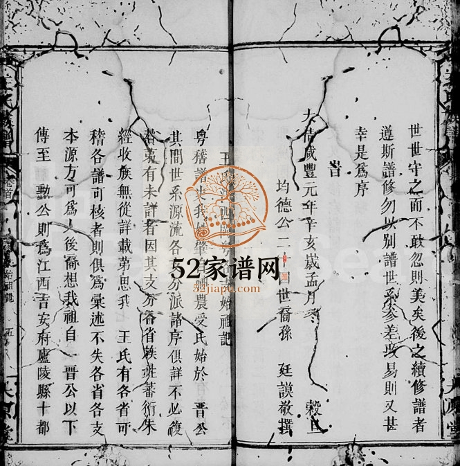 1851年修王氏族谱[3卷首2卷]广东平远 梅县 江西万载 吉安 福建上杭大原堂王姓电子版家谱下载