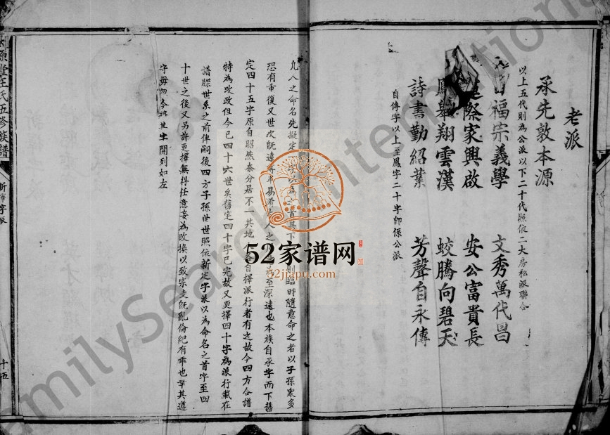 太原堂王氏五修族谱 江西南康王姓电子版家谱下载
