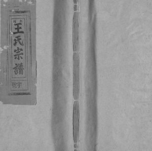 1914年修太原王氏宗谱[不分卷]江西南丰二酉堂王姓电子版族谱下载