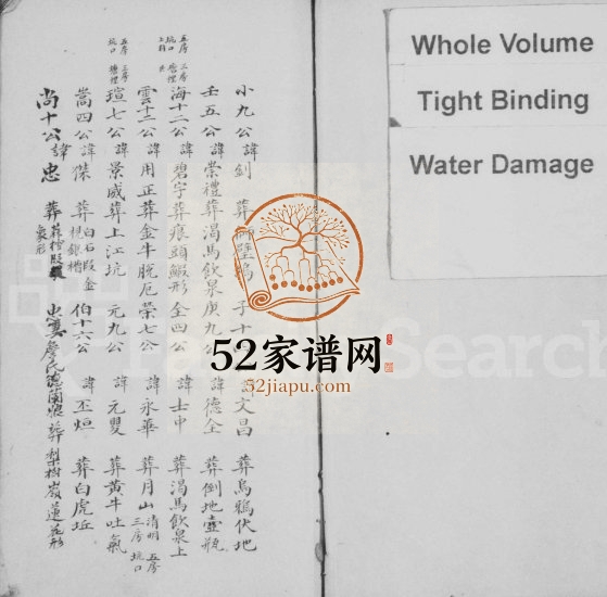 清末婺源武口王氏宗谱 江西王姓电子版族谱下载