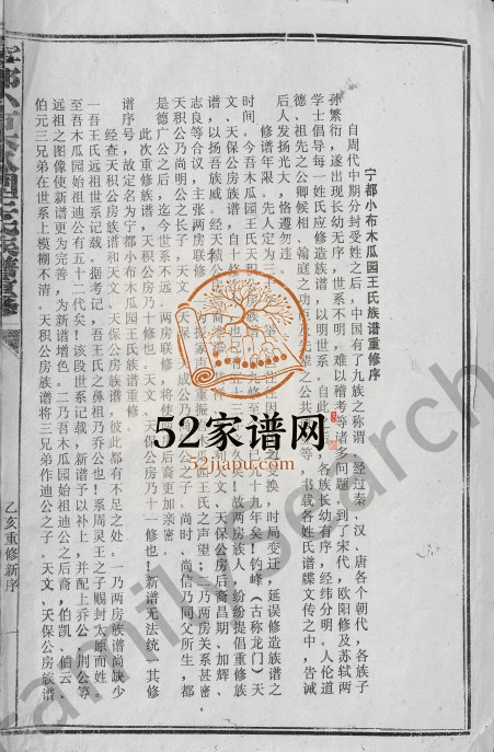 1995年宁都小布木瓜园王氏重修族谱[不分卷]江西王姓电子版家谱下载