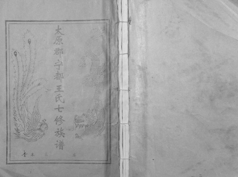 1995年宁都王氏七修族谱[9卷]江西王姓电子版家谱下载