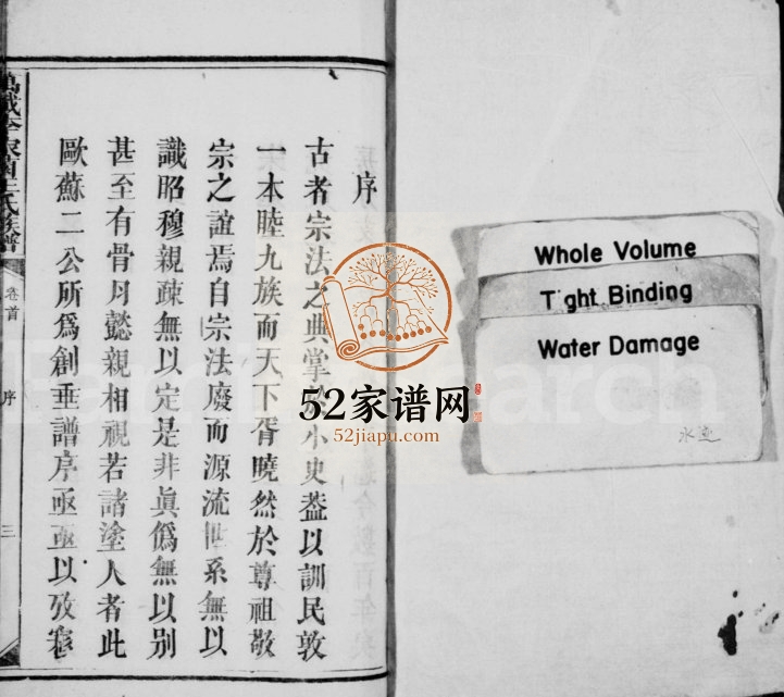 1906年六修李家园王氏族谱[8卷首末各1卷]江西万载王姓电子版家谱下载
