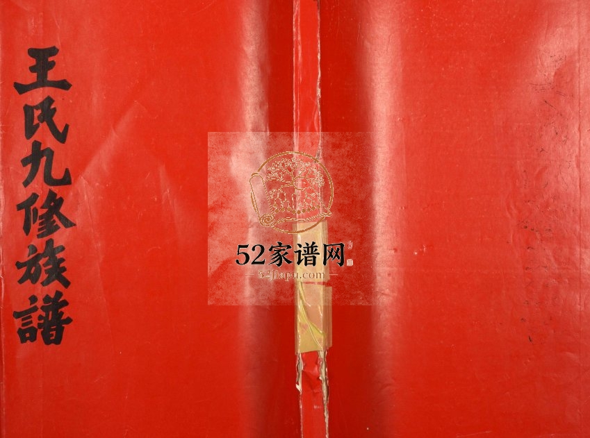 1996年桃江小河乡世德堂王氏九修族谱 江西赣州 信丰王姓电子版家谱下载