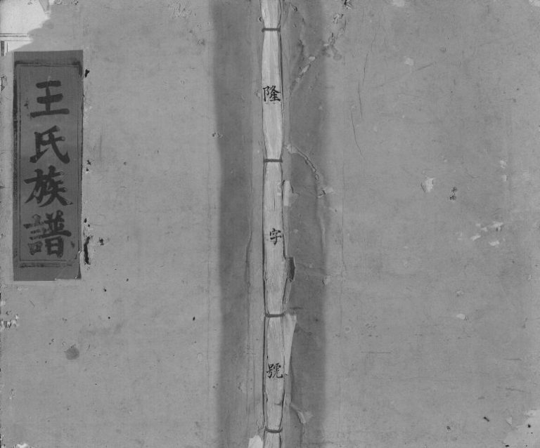 1924年王氏三槐重修族谱[不分卷]江西兴国 万载 吉安王姓电子版家谱下载