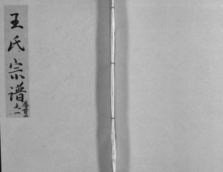 1937年修王氏宗谱[11卷首2卷]湖北蕲春 江西九江 兴国三槐堂王姓电子版族谱下载