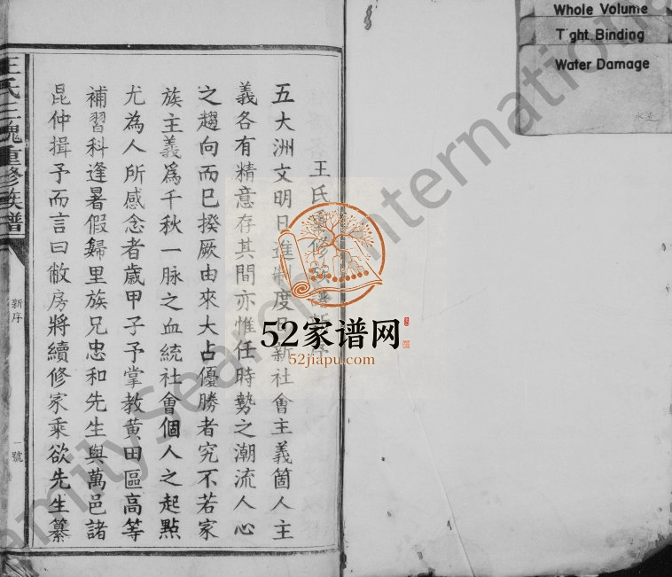 1924年重修王氏族谱[卷数不明]江西兴国 万载三槐堂王姓电子版家谱下载